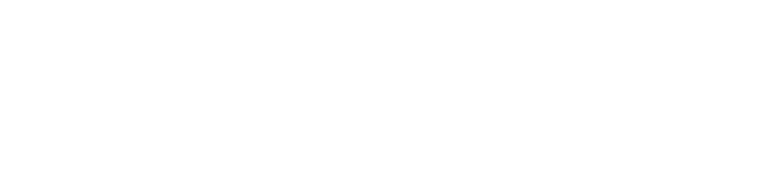 logo of tna smartdate® X60