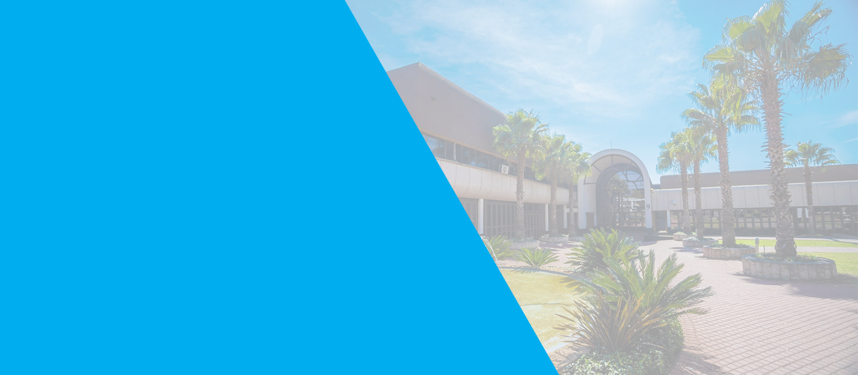 Test: Future-proofing snack production Automation, labour efficiency & consumer driven variety